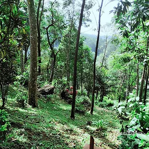 Royal Mount Hotel Kandy